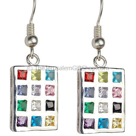 Hoshen earring with hooks