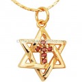 Cross inside Star of David - Gold Fill - Garnet