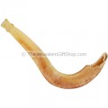 Moroccan Shofar - Made in Israel