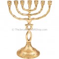 Israeli Made Brass 'Grafted In' Messianic Menorah