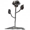 From Rockets into Roses