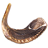 Rams Horn Shofar