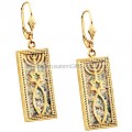 14 carat gold Earrings featuring the 'Grafted In' symbol laid upon a Roman glass background