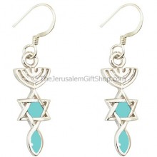 Silver Grafted In Earrings - Turquoise