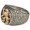 Lion of Judah Ring - Silver Gold