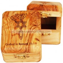 Olive Wood Grafted In Box