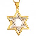Two Tone Gold Fill Star of David Pendant by Marina