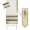 Grafted In Prayer Shawl Tallit