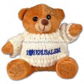 Teddy Bear - Jerusalem