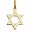 14 Carat Gold Star of David Pendant