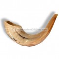 Classical Rams Horn Shofar, polished - Size D