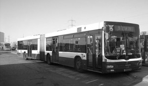 Dan-Tel-Aviv-Buses