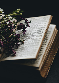 Anointing oil ingredients