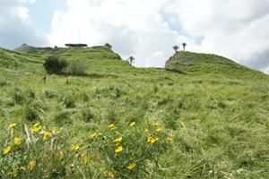 Mount Megiddo Armageddon Jezreel Valley