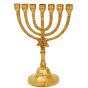 Polished Brass Star of David Menorah - 7 inch