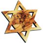 Star of David Grafted In Fridge Magnet