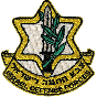Israel Defense Forces Iron-On Patch