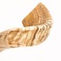Natural Jericho Shofar - Highest Quality Ram Horn and 100% kosher