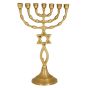 Brass Menorah 'Grafted In' Symbol - Jerusalem