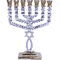 The Grafted In Menorah