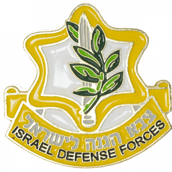 IDF Israel Defense Forces 'Tzahal' Insignia Lapel Pin Badge