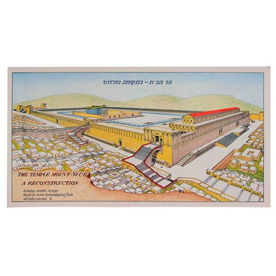 Temple Mount 70AD from the west Poster
