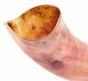 LARGE Kudu Kosher Yemenite Shofar - polished - The Best Quality Sound