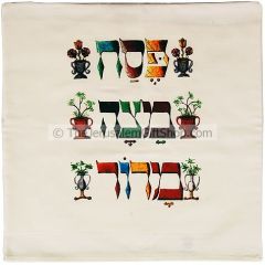 Matza Cover by Barbara Shaw