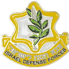 Lapel Pin - Israel Defense Forces