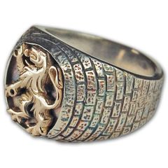Lion of Judah Ring - Silver Gold