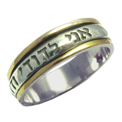 I am my beloved / Ani LeDodi - Hebrew Narrow Silver and Gold Ring