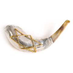Silver Shofar Magen David