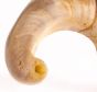 Natural Jericho Shofar - Highest Quality Ram Horn and 100% kosher