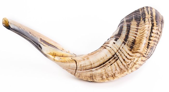 Moroccan Shofar 