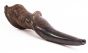 Rare Eland Shofar