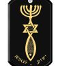 Nano 24k Gold Scripture 'Grafted In' Messianic Pendant - Onyx and Sterling Silver - Romans 11:19 - Detail