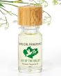 Biblical Fragrance Oil (10 ml 0.33 oz) Lily of The Valley in a Gift Box.