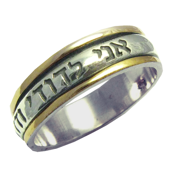 I am my beloved / Ani LeDodi - Hebrew Narrow Silver and Gold Ring