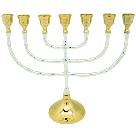 Polished Plated Brass Menorah