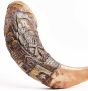 Jerusalem Ram's Horn Shofar, hand-engraved