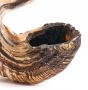 Moroccan Shofar 