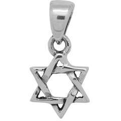 Entwined Star of David Pendant