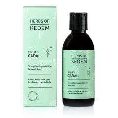 Gadal - Hair Care Solution by Herbs of Kedem Dead Sea