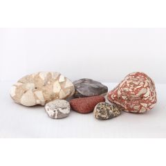 Natural stones from the Middle East Sea
