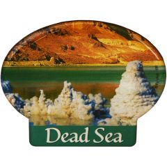 Oval 'Dead Sea' Fridge Magnet