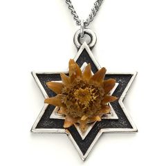 The Rose of Bethlehem Silver 'Star of David' Necklace