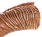 LARGE Kudu Kosher Yemenite Shofar - Half Polished - The Best Quality Sound