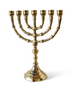 Brass Menorah - Classic Seven Branch 8 inch