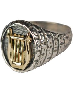 David's Harp ring - silver and gold
