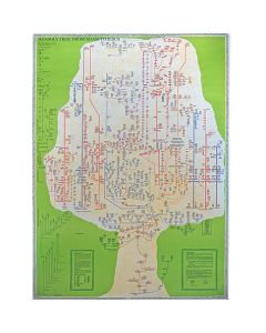 Jesus Family Tree Poster